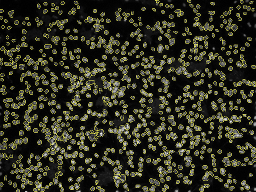 ../_images/nb_Cells_20_0.png