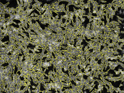 ../_images/nb_Cells_21_0.png